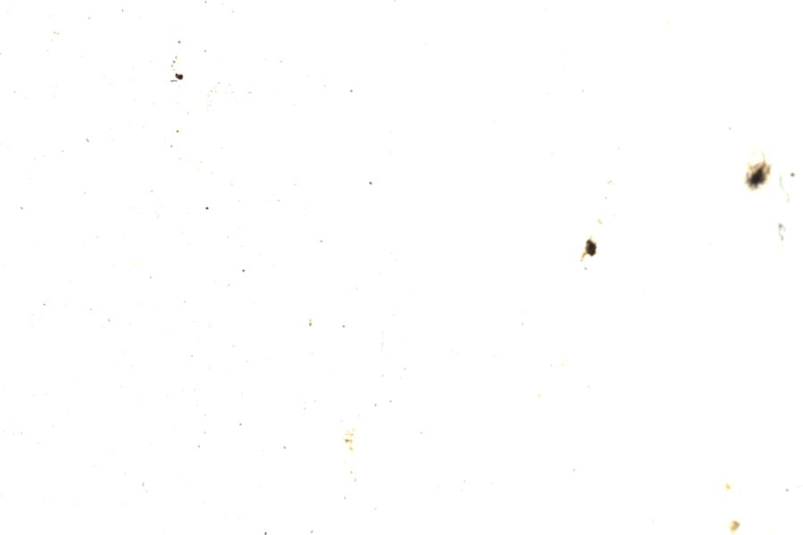 Image 86